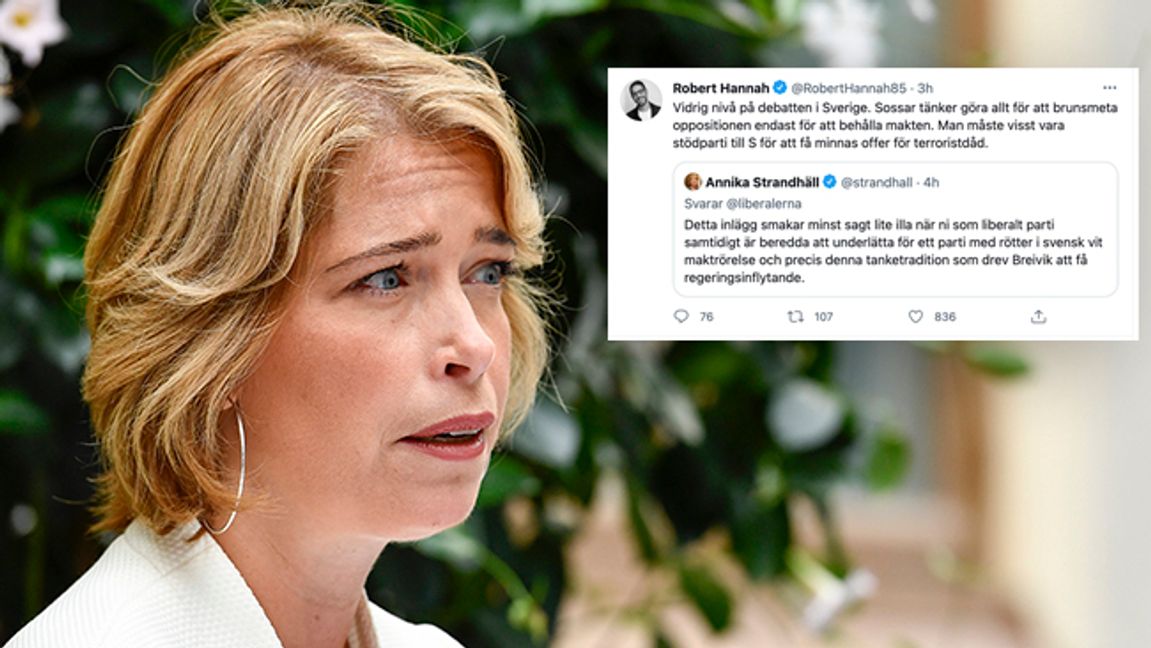 Tidigare socialministern Annika Strandhäll kritiserar Liberalerna. Foto: Erik Simander/TT/Twitter