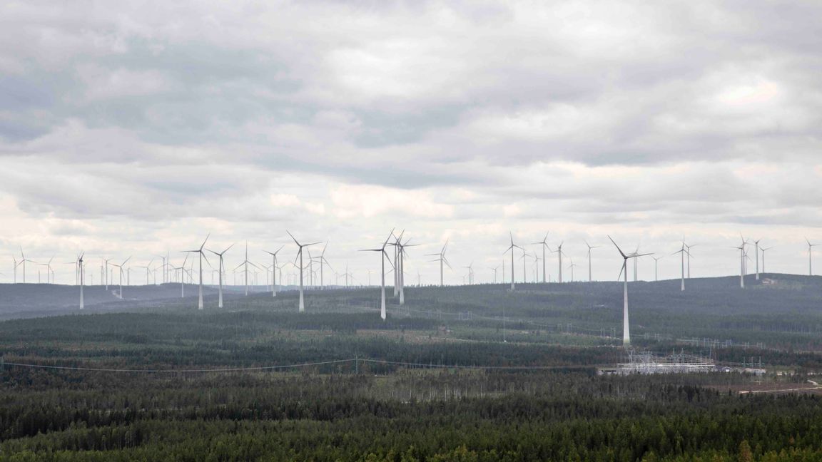 Vindkraftverken alstrar livsfientliga miljöer. Foto: Helena Landstedt/TT.