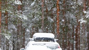 Genom ett eget avgasrör släpper bränsledrivna bilvärmare ut orenade luftföroreningar, ofta i boendemiljöer med risk för miljön och människors hälsa. Foto: Ruud, Vidar/TT. 