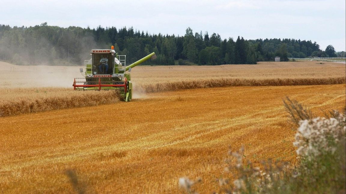 Skördetröska utanför Enköping. Foto: Lars Pehrson / SvD / TT