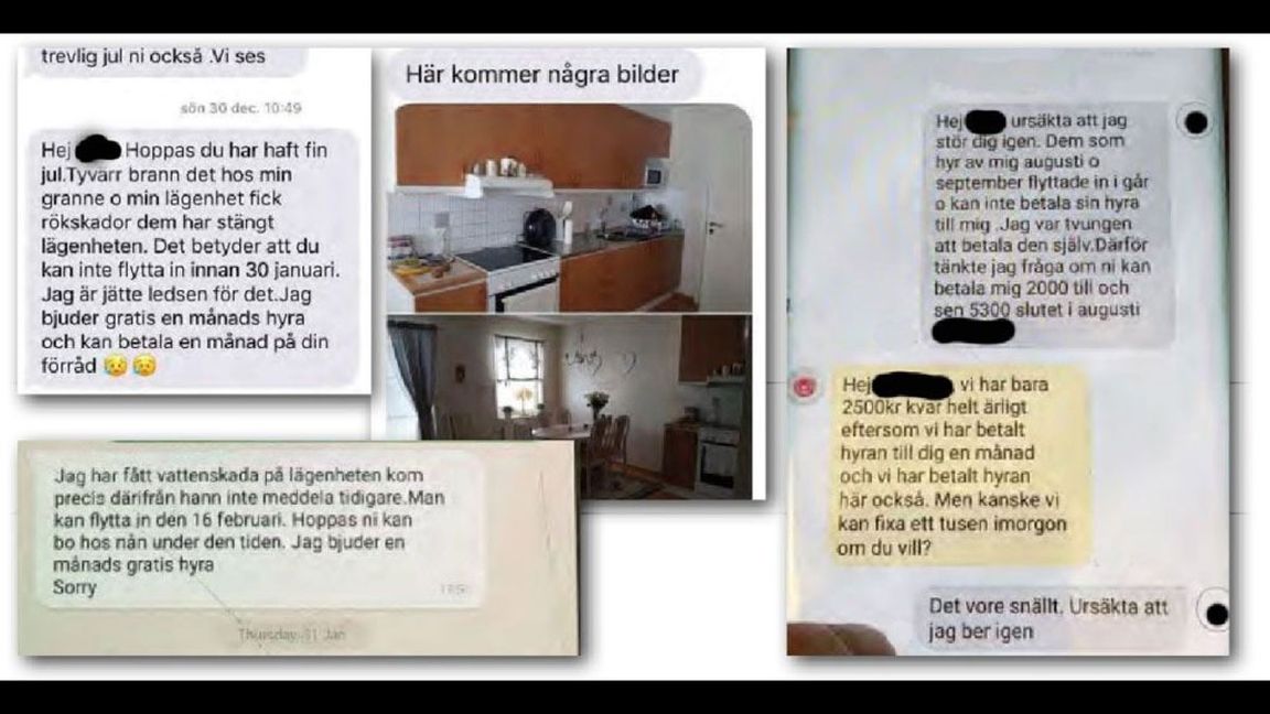 Kvinna Lurade 32 Familjer Med Blocketannons Tjänade En Halv Miljon 