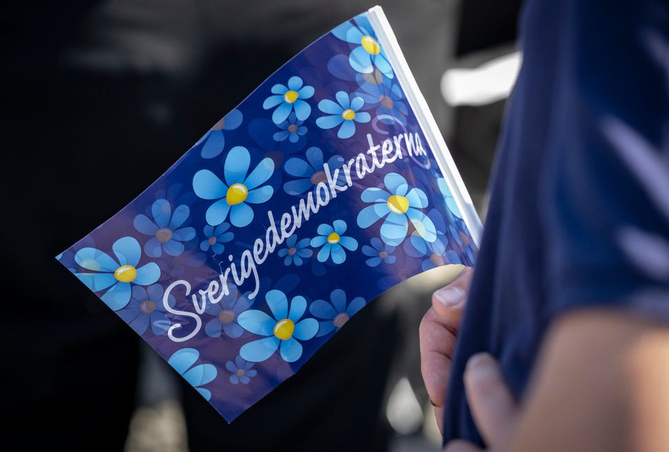 En skånsk SD-politiker skriver i Facebook-gruppen ”Ryssland är våra vänner” att hon skäms över att vara svensk. Arkivbild. Foto: Johan Nilsson/TT