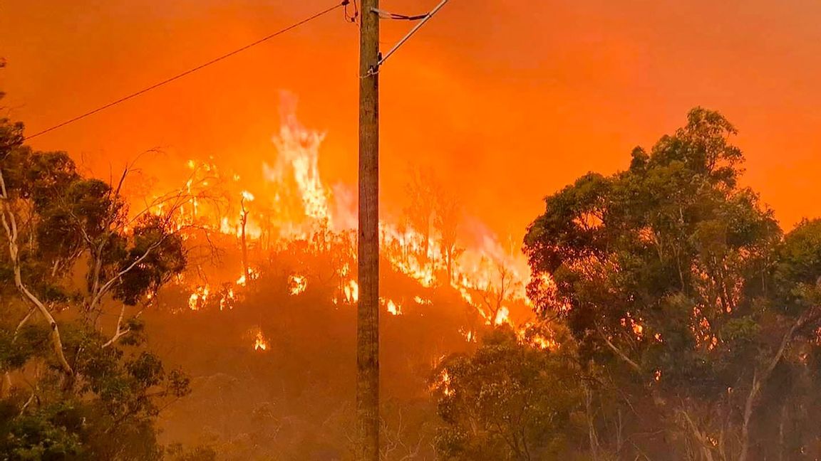 Omfattande bränder drabbar Australien. Foto: Brenden Scott/AP/TT