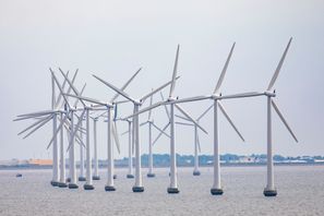 En dansk vindkraftspark i Öresund. Arkivbild. Paul Kleiven/NTB/TT