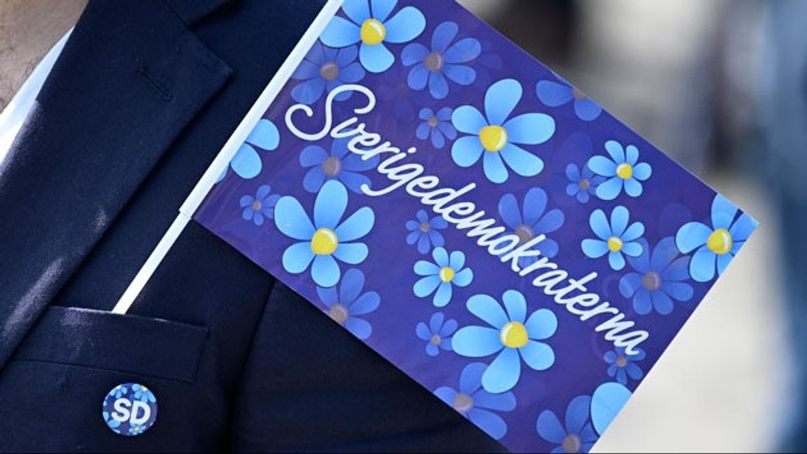 En politiker från SD i Blekinge utesluts efter misstänkt våldtäkt. Arkivbild. Foto: Johan Nilsson/TT