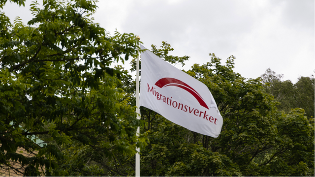 Migrationsverket förbereder nu verksamheten inför de nya reglerna som träder i kraft i juni. Foto: Pressbild/Migrationsverket