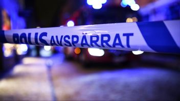 Arkivbild. Foto: Tim Aro/TT