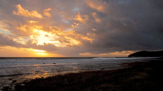 Foto: Frederic Täckström/Stilbildarna i Mölle.