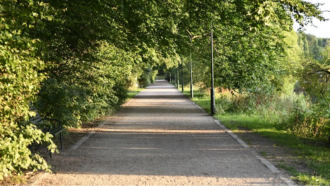Pildammsparken i Malmö, där den påhittade våldtäkten enligt den dömde hade ägt rum. Foto: Johan Jönsson (Julle), CC BY-SA 4.0, via Wikimedia Commons