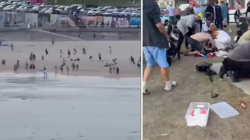 Panik och livräddningsförsök på Bondi Beach i Australien efter att beväpnade män sköt mot folkmassan. Foto: Skärmdump via Instagram