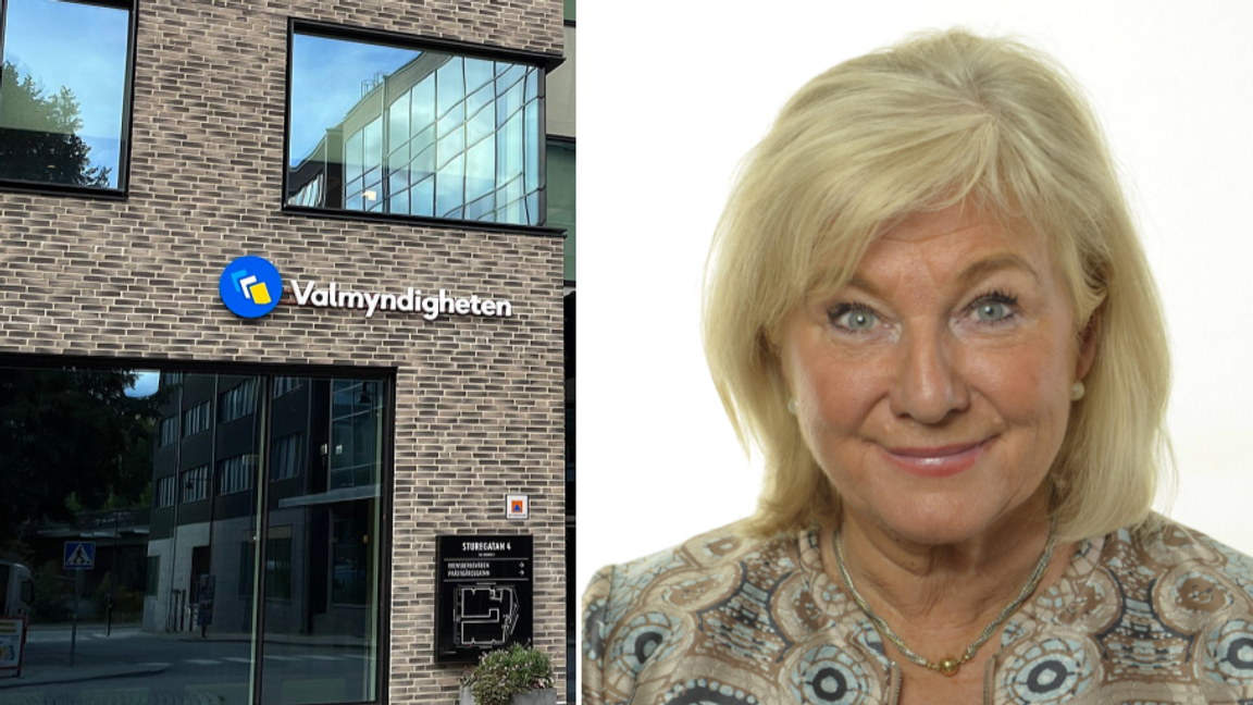 Katarina Brännström (M) upptäckte av en händelse att hon stod registrerad för ett helt annat parti inför kommunfullmäktigevalet. Foto: David Hall, CC BY 4.0, via Wikimedia Commons/Sveriges riksdag