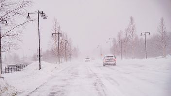 Bild från när stormen Johannes drabbade Västerbotten i slutet av december. Nu drar stormen Anna in över landet. Foto: Sam Hedman/TT