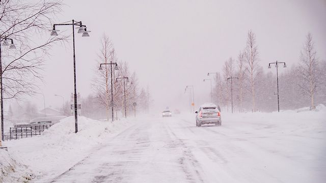 Bild från när stormen Johannes drabbade Västerbotten i slutet av december. Nu drar stormen Anna in över landet. Foto: Sam Hedman/TT
