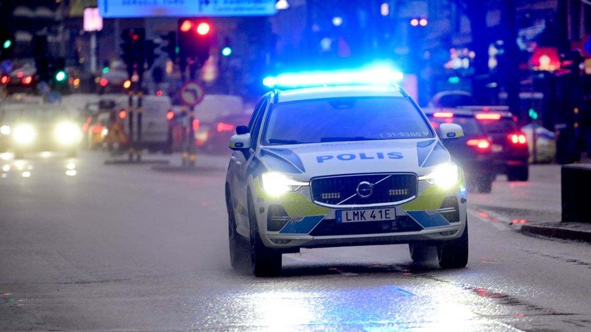 Ett stort antal personer var inblandade i bråket som polisen lyckades lugna ner. Foto: Janerik Henriksson/TT