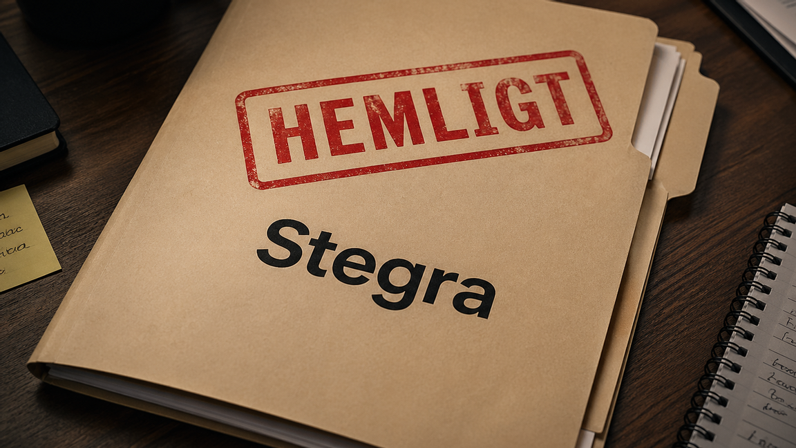 Det är fel att staten stödjer projekt utan att de får granskas. Bild: AI