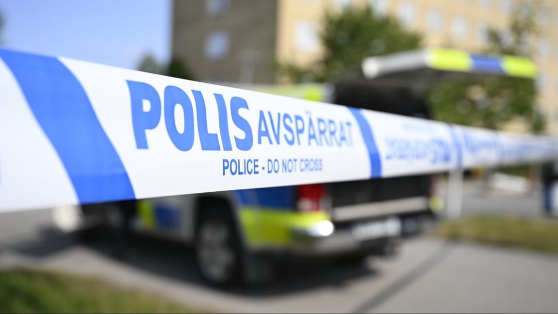 Kriminella som stoppas vid gränsen behöver inte jagas efter att de har begått brott i landet. Foto: Jessica Gow/TT