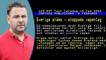 Text-tv vinklar nyheten om vapendirektivet på ett regeringsvänligt sätt, enligt krönikören. Foto: Skärmdump SvT Text