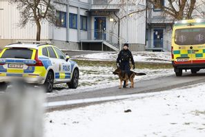 Knivattacken vid en skola i Upplands Väsby norr om Stockholm inträffade i onsdags. Stefan Jerrevång/TT