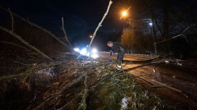 Foto: Johan Nilsson/TT