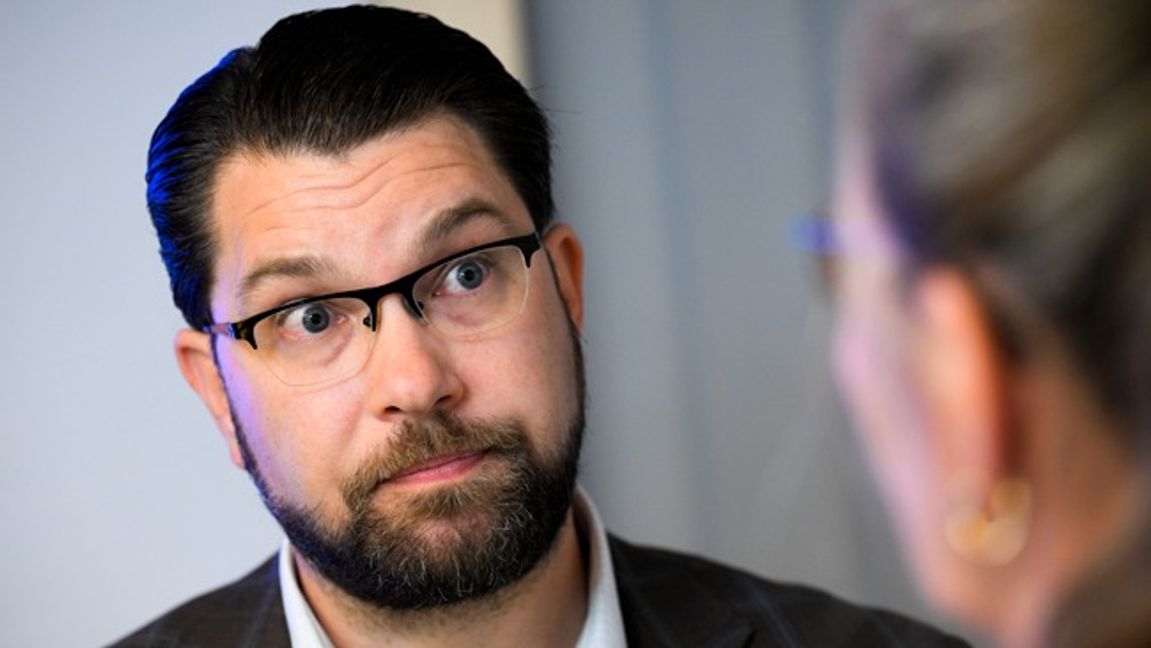 Sverigedemokraternas partiledare Jimmie Åkesson. Arkivbild. Foto: Johan Nilsson/TT