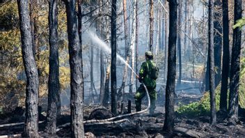 Vid civilplikt kan man bland annat kallas in till brandförvaret. Foto: Suvad Mrkonjic/TT