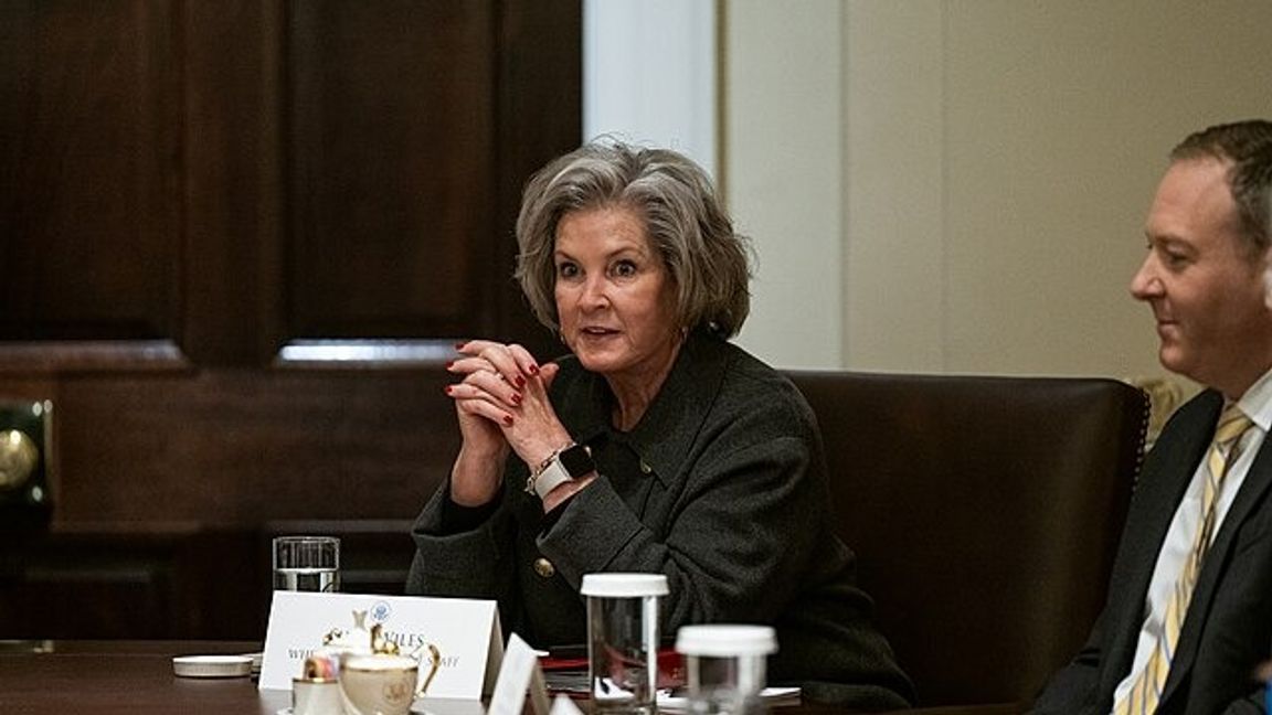 Susie Wiles/ Public Domain