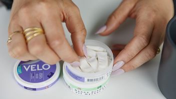 Det vita snuset hotas av förbud i flera EU-länder. Nu agerar Sverige. Foto: Caisa Rasmussen/TT.