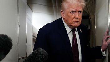 Donald Trump talar med reportrar på Air Force One på söndagen.  Bild: AP Photo/Julia Demaree Nikhinson