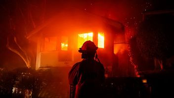 Brandman ser på när villa brinner upp i Pacific palisades. Bild: AP Photo/Etienne Lauren