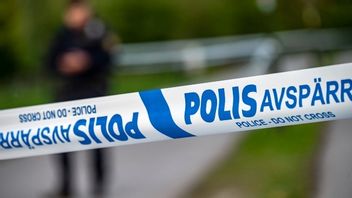 Arkivbild Foto: Johan Nilsson/TT
