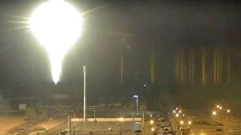 Under natten började det brinna vid kärnkraftverket Zaporizjzja. Foto: Kärnkraftverket Zaporizjzja/AP/TT