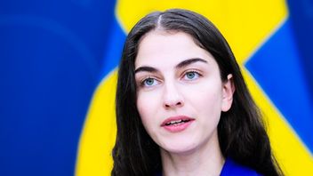 SD ställer sig bakom Pourmokhtaris klimatmål: ”Ingen stor dramatik”