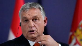 Ungerns premiärminister Viktor Orbán. Foto: Darko Vojinovic/AP/TT