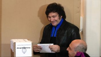 Javier Milei framför valurnan söndagen den 22 oktober Foto: Natacha Pisarenko/AP/TT