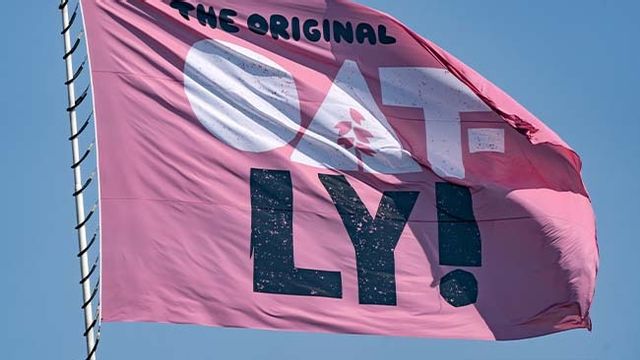 Arkivbild. Foto: Johan Nilsson/TT