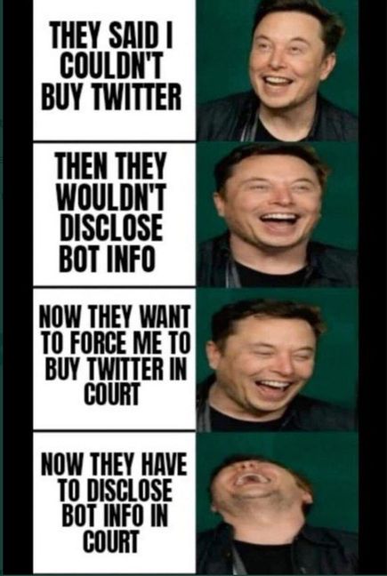 Elon musk twitter meme