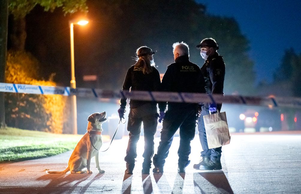 Polis med specialsökhund och kriminaltekniker arbetar innanför avspärrningarna i ett villaområde i centrala Skurup natten till den 11 augusti förra året sedan en man skjutits ihjäl i sitt hem. Arkivbild. Foto: Johan Nilsson/TT