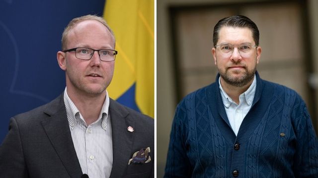 Ludvig Aspling och Jimmie Åkesson.  Foto: Viktoria Bank/TT/Pontus Lundahl/TT