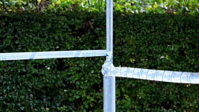 Arkivbild. Foto: Johan Nilsson/TT