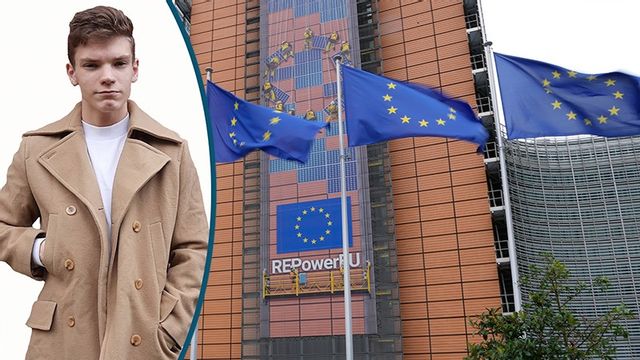 Federaliseringen av EU tuffar vidare. Foto: Virginia Mayo/AP/TT