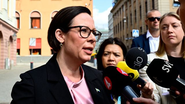 Utrikesminister Maria Malmer Stenegard (M) kommenterar mötet med mötet mellan kabinettssekreteraren och Israels ambassadör i Sverige. Foto: Jonas Ekströmer/TT