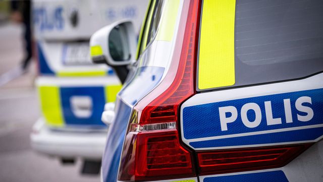 Foto: Johan Nilsson/TT