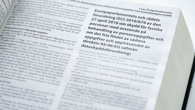Myndigheten IMY utreder huruvida bolag som erbjuder känsliga uppgifter ur brottsregister ska undantas utifrån reglerna i GDPR. Foto: Naina Helén Jåma/TT