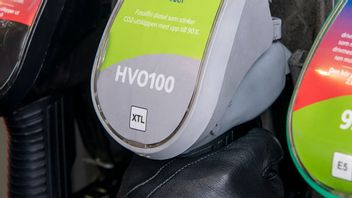 Foto: Malin Hoelstad/SvD/TT