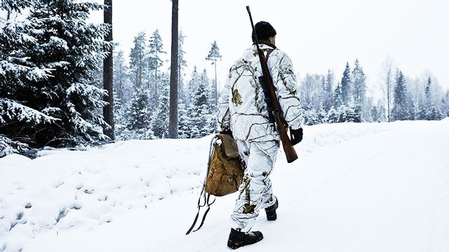 Årets licensjakt på varg inleddes 3 januari. Foto: Anders Wiklund /TT