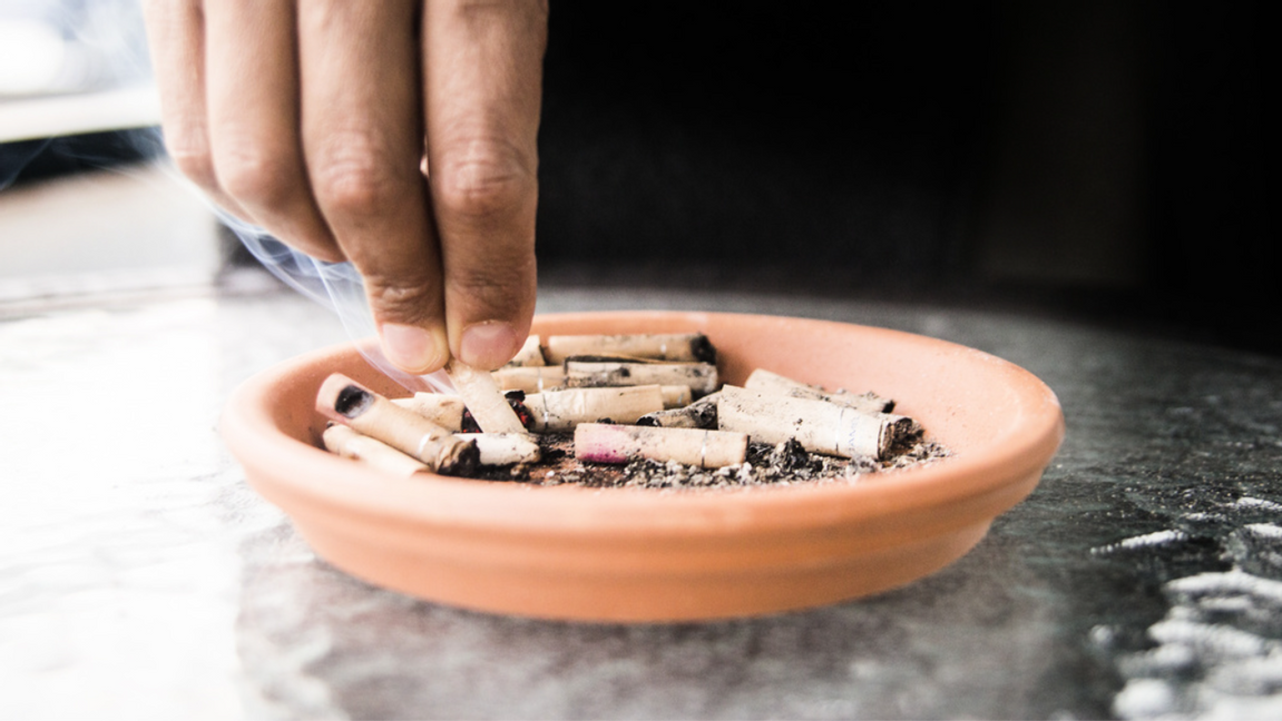 Varning! Fel utbildning kan allvarligt skada din anställningsbarhet! Foto: isabell Höjman/TT