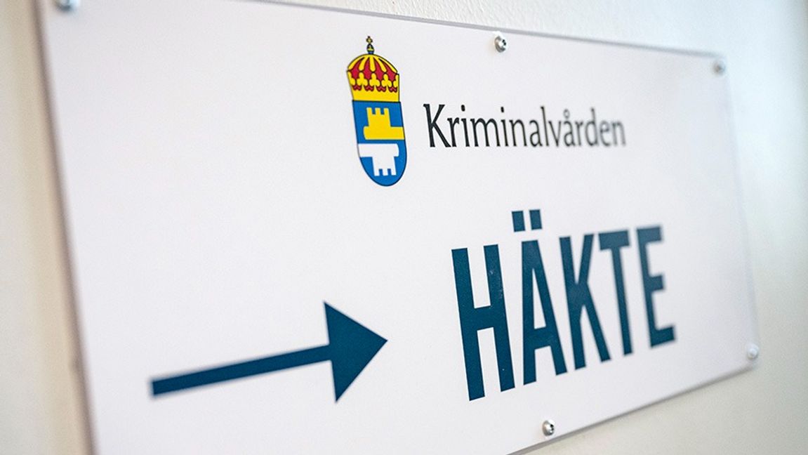 Foto: Johan Nilsson/TT