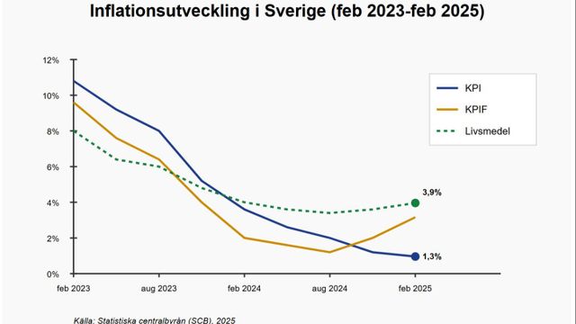 Livsmedelspriserna har ökat med 3,9% sedan februari 2024, betydligt mer än den allmänna inflationen på 1,3%. Diagram baserat på data från SCB. Källa: SCB