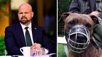 Peter Kullgren (KD) och hund med munkorg. Foto: Magnus Lejhall/Christof Stache/AP/TT