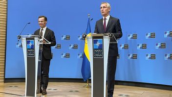 Den svenska rollen inom Nato börjar få sin kontur. Foto: Wiktor Nummelin/TT 